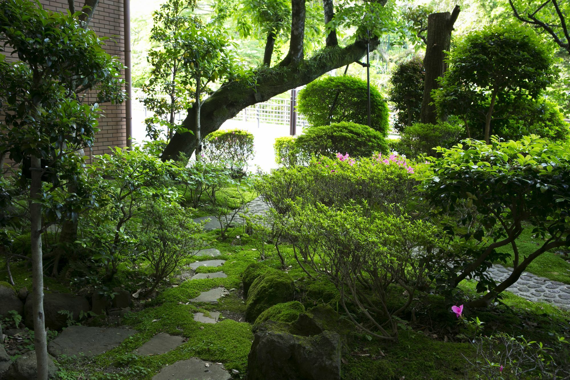 Yugawara Mizunokaori Hotel Exterior photo